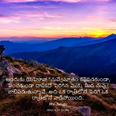 Picture 03 - యోనా 4:10 TELIRV - అందుకు యెహోవా - Bible Verse Picture