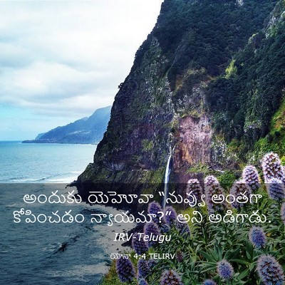 Picture 03 - యోనా 4:4 TELIRV - అందుకు యెహోవా - Bible Verse Picture