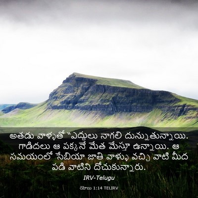 Picture 03 - యోబు 1:14 TELIRV - అతడు వాళ్ళతో - Bible Verse Picture