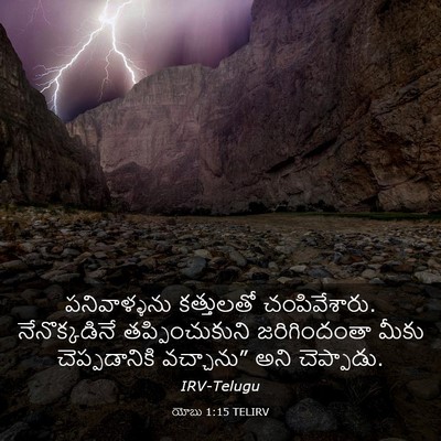 Picture 03 - యోబు 1:15 TELIRV - పనివాళ్ళను - Bible Verse Picture