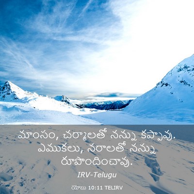 Picture 03 - యోబు 10:11 TELIRV - మాంసం, చర్మాలతో - Bible Verse Picture