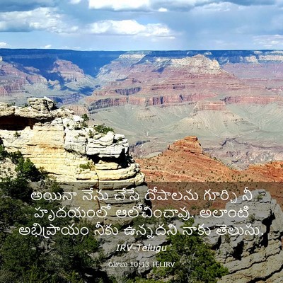 Picture 03 - యోబు 10:13 TELIRV - అయినా నేను చేసే - Bible Verse Picture