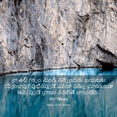 Picture 03 - యోబు 10:18 TELIRV - నా తల్లి గర్భం - Bible Verse Picture