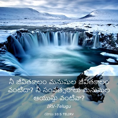 Picture 03 - యోబు 10:5 TELIRV - నీ జీవితకాలం - Bible Verse Picture
