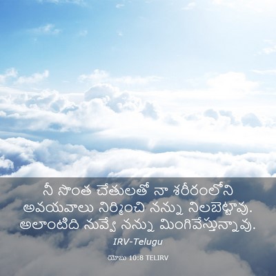 Picture 03 - యోబు 10:8 TELIRV - నీ సొంత చేతులతో నా - Bible Verse Picture