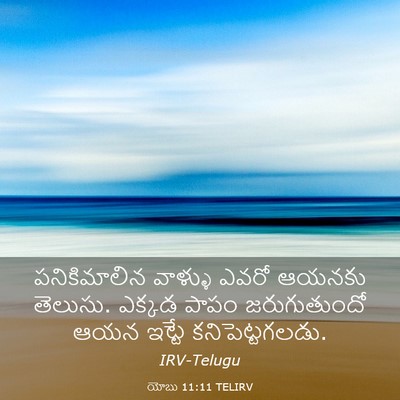 Picture 03 - యోబు 11:11 TELIRV - పనికిమాలిన వాళ్ళు - Bible Verse Picture