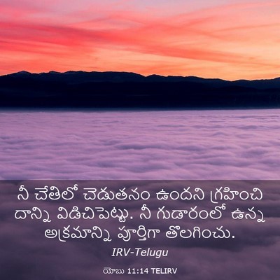 Picture 03 - యోబు 11:14 TELIRV - నీ చేతిలో చెడుతనం - Bible Verse Picture