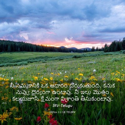 Picture 03 - యోబు 11:18 TELIRV - నీ నమ్మకానికి ఒక - Bible Verse Picture