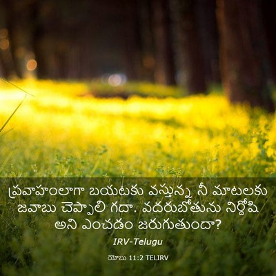 Picture 03 - యోబు 11:2 TELIRV - ప్రవాహంలాగా బయటకు - Bible Verse Picture