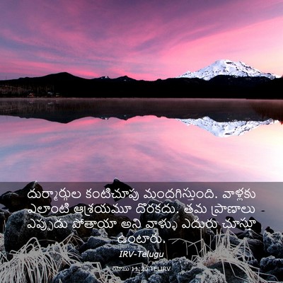 Picture 03 - యోబు 11:20 TELIRV - దుర్మార్గుల - Bible Verse Picture