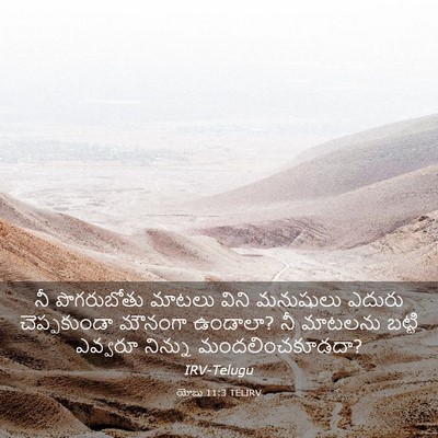 Picture 03 - యోబు 11:3 TELIRV - నీ పొగరుబోతు - Bible Verse Picture