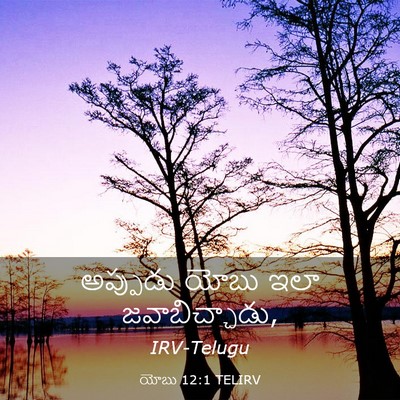 Picture 03 - యోబు 12:1 TELIRV - అప్పుడు యోబు ఇలా - Bible Verse Picture