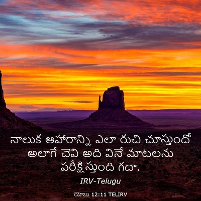 Picture 03 - యోబు 12:11 TELIRV - నాలుక ఆహారాన్ని - Bible Verse Picture