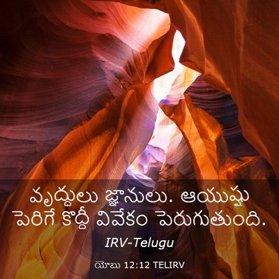 Picture 03 - యోబు 12:12 TELIRV - వృద్ధులు - Bible Verse Picture