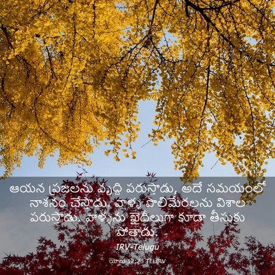 Picture 03 - యోబు 12:23 TELIRV - ఆయన ప్రజలను - Bible Verse Picture