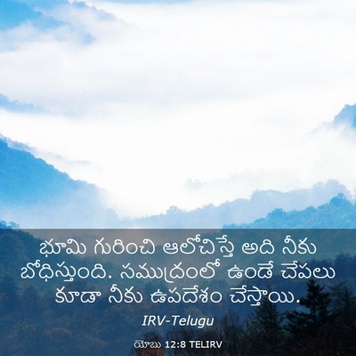 Picture 03 - యోబు 12:8 TELIRV - భూమి గురించి - Bible Verse Picture