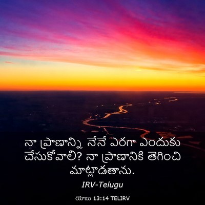 Picture 03 - యోబు 13:14 TELIRV - నా ప్రాణాన్ని - Bible Verse Picture