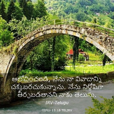 Picture 03 - యోబు 13:18 TELIRV - ఆలోచించండి, నేను - Bible Verse Picture