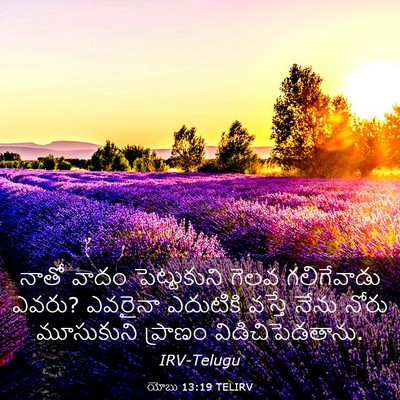 Picture 03 - యోబు 13:19 TELIRV - నాతో వాదం - Bible Verse Picture