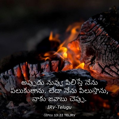 Picture 03 - యోబు 13:22 TELIRV - అప్పుడు నువ్వు - Bible Verse Picture