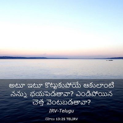 Picture 03 - యోబు 13:25 TELIRV - అటూ ఇటూ - Bible Verse Picture