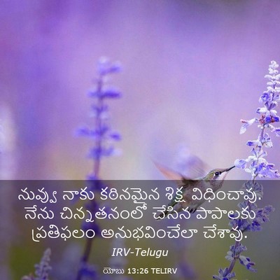 Picture 03 - యోబు 13:26 TELIRV - నువ్వు నాకు - Bible Verse Picture