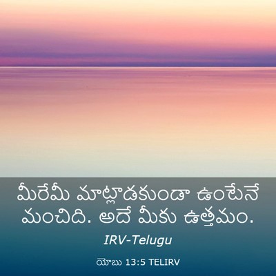 Picture 03 - యోబు 13:5 TELIRV - మీరేమీ - Bible Verse Picture