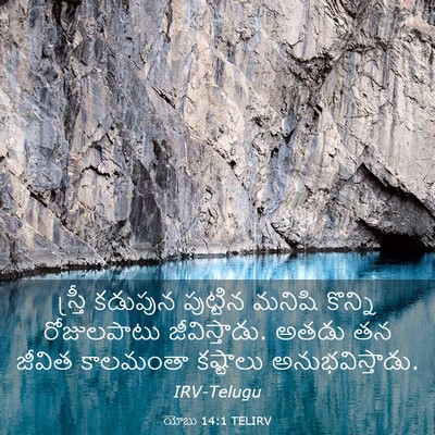 Picture 03 - యోబు 14:1 TELIRV - స్త్రీ కడుపున - Bible Verse Picture
