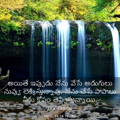 Picture 03 - యోబు 14:16 TELIRV - అయితే ఇప్పుడు - Bible Verse Picture