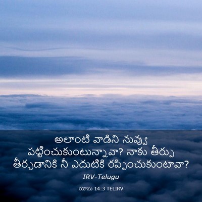 Picture 03 - యోబు 14:3 TELIRV - అలాంటి వాడిని - Bible Verse Picture