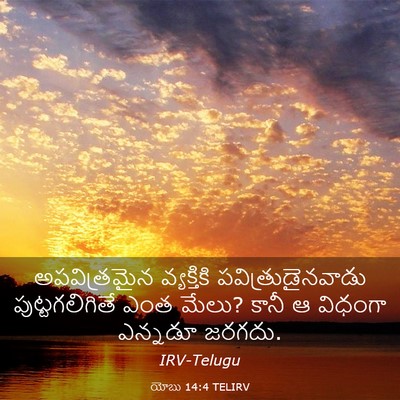Picture 03 - యోబు 14:4 TELIRV - అపవిత్రమైన - Bible Verse Picture