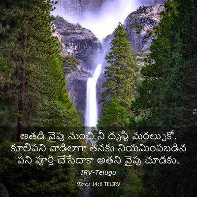 Picture 03 - యోబు 14:6 TELIRV - అతడి వైపు నుంచి నీ - Bible Verse Picture