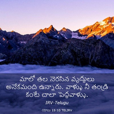 Picture 03 - యోబు 15:10 TELIRV - మాలో తల నెరసిన - Bible Verse Picture