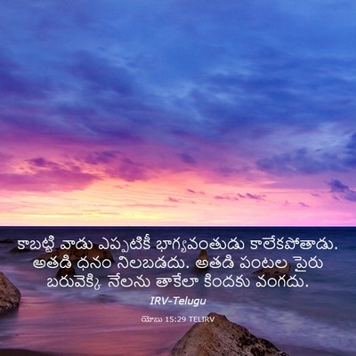 Picture 03 - యోబు 15:29 TELIRV - కాబట్టి వాడు - Bible Verse Picture