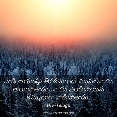 Picture 03 - యోబు 15:32 TELIRV - వాడి ఆయుష్షు - Bible Verse Picture