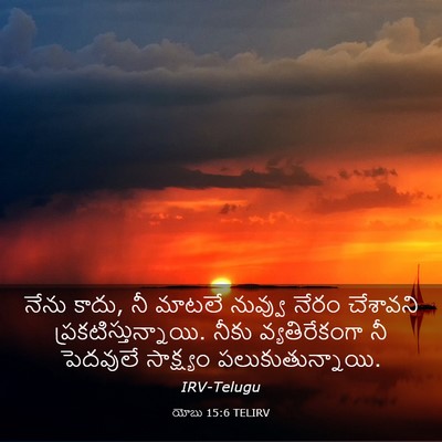 Picture 03 - యోబు 15:6 TELIRV - నేను కాదు, నీ మాటలే - Bible Verse Picture