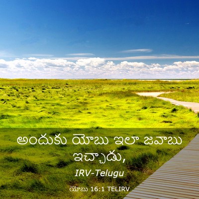 Picture 03 - యోబు 16:1 TELIRV - అందుకు యోబు ఇలా - Bible Verse Picture