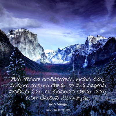 Picture 03 - యోబు 16:12 TELIRV - నేను మౌనంగా - Bible Verse Picture