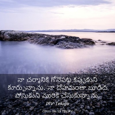 Picture 03 - యోబు 16:15 TELIRV - నా చర్మానికి - Bible Verse Picture