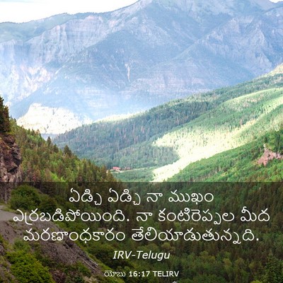 Picture 03 - యోబు 16:17 TELIRV - ఏడ్చి ఏడ్చి నా - Bible Verse Picture