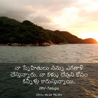 Picture 03 - యోబు 16:20 TELIRV - నా స్నేహితులు - Bible Verse Picture