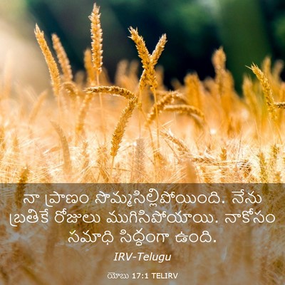 Picture 03 - యోబు 17:1 TELIRV - నా ప్రాణం - Bible Verse Picture