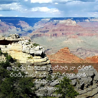 Picture 03 - యోబు 17:10 TELIRV - అప్పుడు మీరంతా - Bible Verse Picture