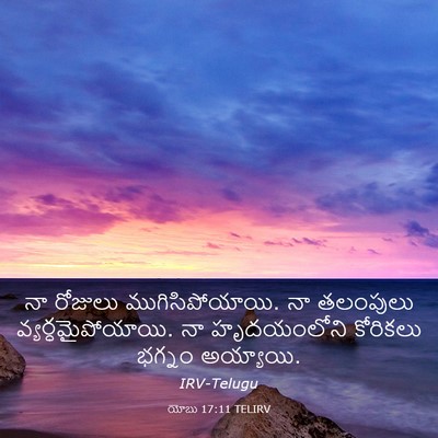 Picture 03 - యోబు 17:11 TELIRV - నా రోజులు - Bible Verse Picture