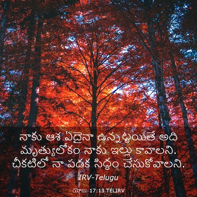 Picture 03 - యోబు 17:13 TELIRV - నాకు ఆశ ఏదైనా - Bible Verse Picture