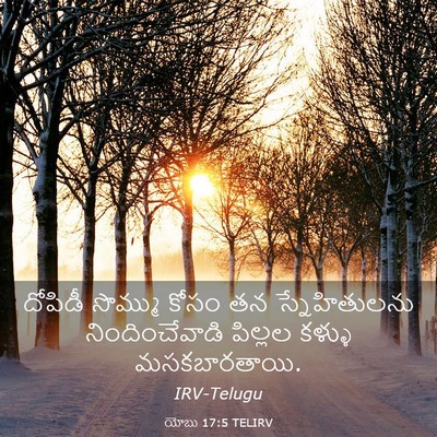 Picture 03 - యోబు 17:5 TELIRV - దోపిడీ సొమ్ము - Bible Verse Picture
