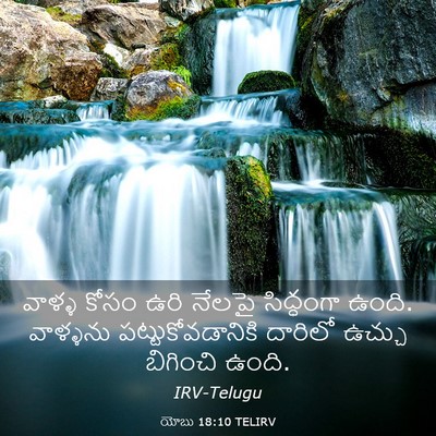 Picture 03 - యోబు 18:10 TELIRV - వాళ్ళ కోసం ఉరి - Bible Verse Picture