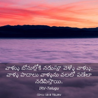 Picture 03 - యోబు 18:8 TELIRV - వాళ్ళు బోనుల్లోకి - Bible Verse Picture