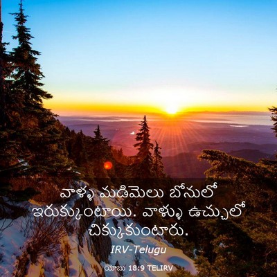Picture 03 - యోబు 18:9 TELIRV - వాళ్ళ మడిమెలు - Bible Verse Picture