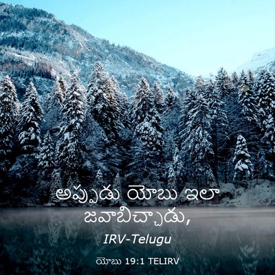 Picture 03 - యోబు 19:1 TELIRV - అప్పుడు యోబు ఇలా - Bible Verse Picture